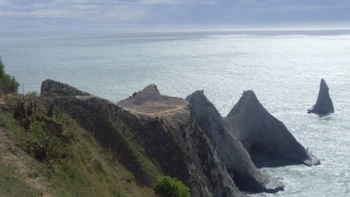 Cape Kidnappers Gannet Colony is said to play host to 20,000 gannets.